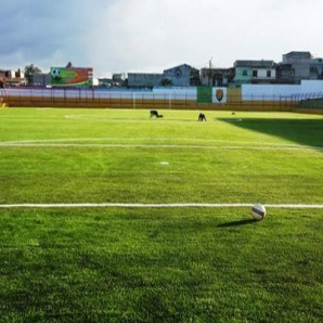 Proyecto de Estadio San Miguel